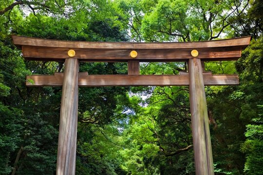 Torii Gate at the entrance to the Meiji Jingu Shrine, Tokyo, Japan