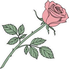 Elegant flower art, Design illustration for decoration Rose, Elegant Floral Vector on Transparent Background, decorative rose with leaves, Flower silhoutte, Vector illustration, Floral vector