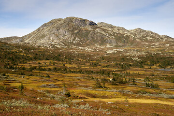  Breathtaking Autumnal Landscape at the Base of Gaustatoppen, Telemark, Norway Amidst Vivid Fall Hues