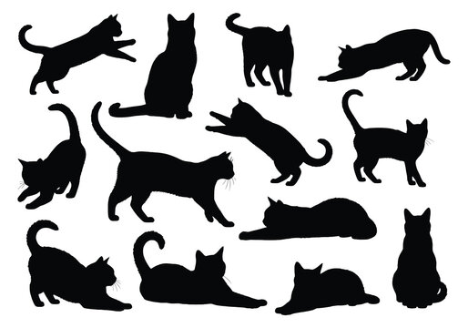 A collection of black cat silhouettes in various dynamic poses
