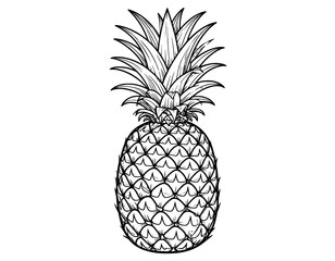 pineapple sketch illustration
