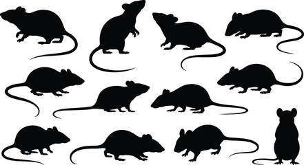 Collection of rat silhouettes, mouse shapes, rodent animal icons, black vector wildlife illustrations, pest control graphics, detailed rodent outline designs for use