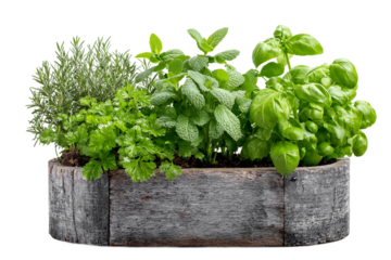 portable herb garden kit isolated on transparent background