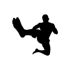 Silhouette of a martial artist performing a high kick in mid air