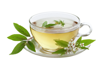 natural herbal tea isolated on transparent background