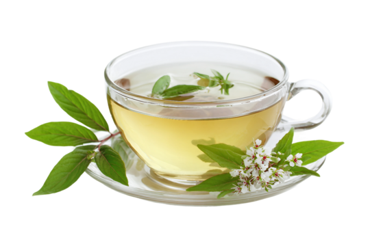 natural herbal tea isolated on transparent background - Powered by Adobe
