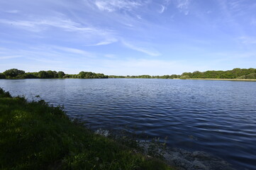 Vue sur le lac au millieu d'une foret 