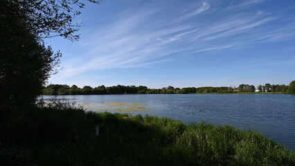Vue sur le lac au millieu d'une foret 