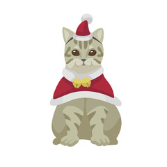 Cute Kitten Wearing Christmas Santa Hat
