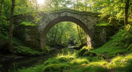 Ancient moss covered stone arch bridge spans tranquil forest waterway under bright sunlight