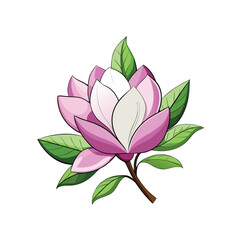Beautiful pink and white magnolia flower with green leaves
