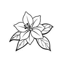 Simple black and white line drawing of a lily flower with leaves