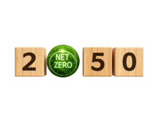 Net zero 2050 climate goal with wooden blocks