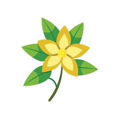 Simple yellow flower with green leaves on white background