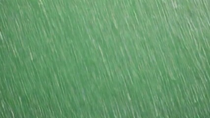 Abstract Green: An artistic interpretation of nature, conveying a sense of energy and vitality through blurred green lines.