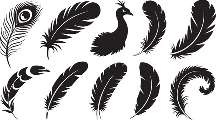 Collection of ten black silhouette illustrations of various feathers and a peacock Keywords: feather, peacock, bird, quill, plume, silhouette, black and white, nature, wildlife, design element