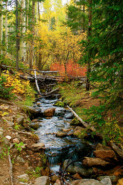 Santa Fe, New Mexico, United States.  Flowing creek in the mountains in the fall. 