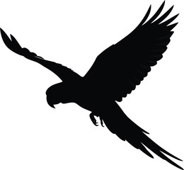 Black silhouette parrot flying isolated white background
