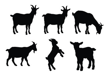 Set of Goat Silhouettes in Various Poses