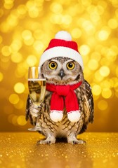 Festive Owl Celebrates With Champagne - An owl wearing a hat and scarf raises a toast with champagne. Symbolizing celebration, festivity, joy, indulgence, and new beginnings