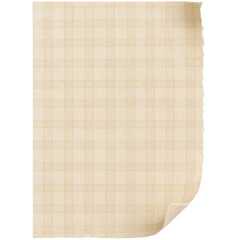 Cream checkered paper texture with soft rip