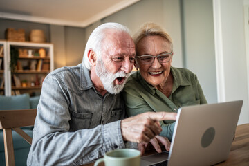 Senior couple experiencing surprise and joy using laptop
