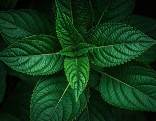 Industrial Factory Structure with Steel Pipes in a Manufacturing Industry Setting Shot from an Aerial Perspective During Daylight