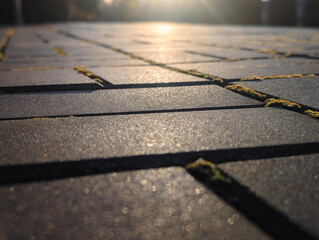low angle close up of paving stones texture with moss and dramatic sunlight