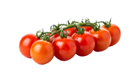 Ripe Cherry Tomatoes on the Vine with Water Droplets on Black