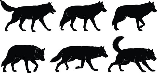 WebCollection of detailed wolf silhouettes in various walking and stalking poses, strong wildlife vector illustration ideal for nature themes, predator concepts, outdoor design projects