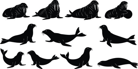 Dynamic bowling player silhouettes in various action poses, detailed vector illustration featuring bowlers, 