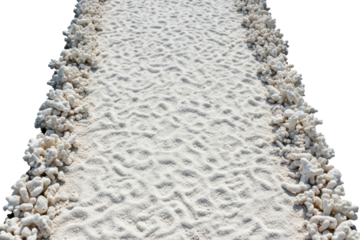 Path of white sand lined with bleached coral pieces on the sides isolated on transparent background