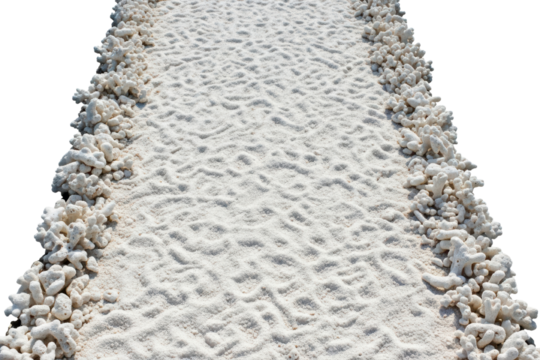 Path of white sand lined with bleached coral pieces on the sides isolated on transparent background