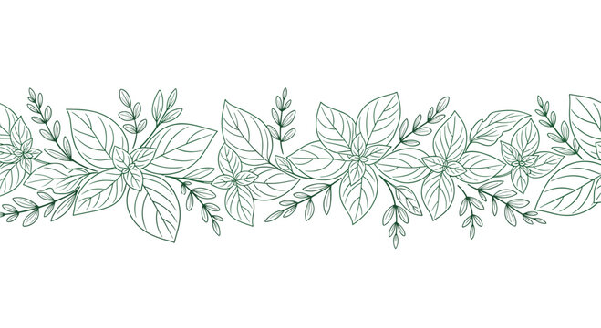 Elegant decorative border made of hand-drawn green sage or mint plant leaves and branches.