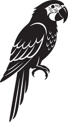 Illustration of black silhouette of a macaw