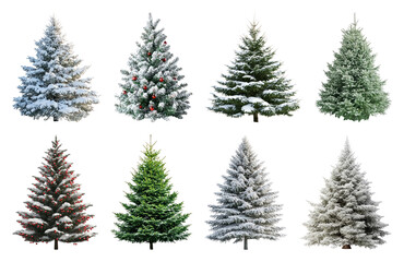 Fototapeta premium PNG Diverse snowy evergreen trees, element set on transparent background
