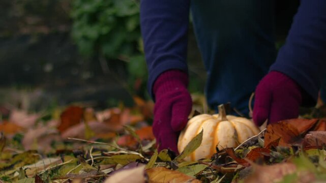 Woman picks up pumpkin squash in carpet of autumn leaves