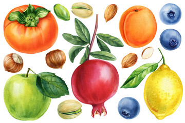 Watercolor fruits and nuts set with pomegranate lemon apple persimmon blueberry apricot botanical food illustration design