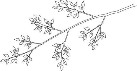 Botanical branch line drawing, veined leaf illustration, black and white nature sketch, organic symmetry, elegant foliage art, decorative plant design. © PixelsWorld