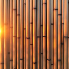Naklejka premium Golden Bamboo Fence at Sunset, nature , wood