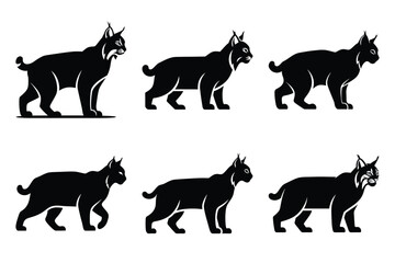 bobcat of the modern vector silhouettes animals icon collection