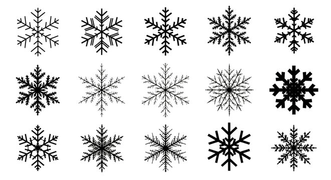 A collection of fifteen unique snowflake designs, each meticulously crafted with intricate details, isolated on transparent background, showcasing the beauty of winters artistry