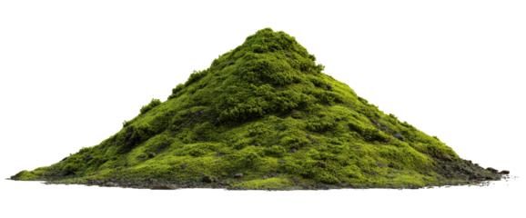 Lush green moss pile resembling a small mountain