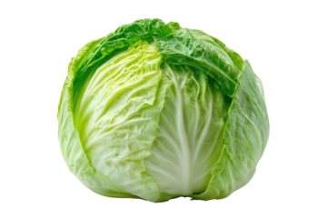 Close-up of a fresh head of cabbage