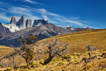 Torres del Paine, Patagonia, Chile