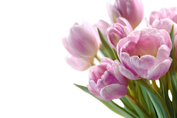 Close-up of a bouquet of pale pink tulips