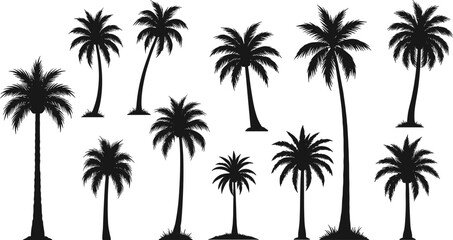 Palm tree silhouettes, tropical vector, black illustration, nature icons, curved trunks, frond shapes, beach vibe, minimal design, exotic foliage, graphic set