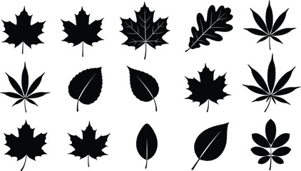 Obraz premium Leaf silhouettes, botanical icons, black vector, nature design, foliage shapes, minimal style, graphic set, plant elements, tree leaves
