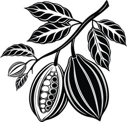 Black and white illustration of cocoa pods and leaves on a branch cacao bean