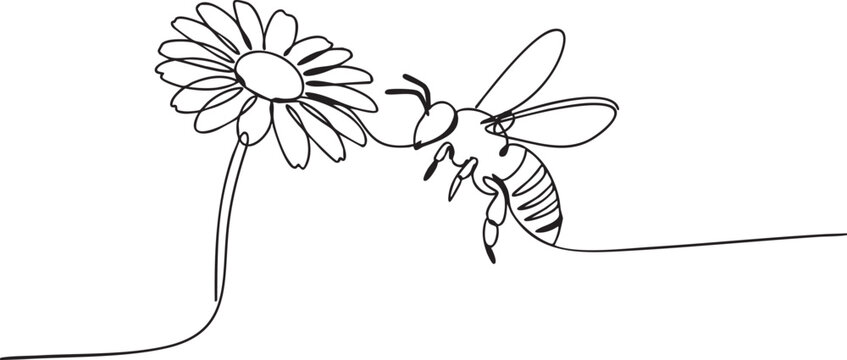 Single line art illustration of a honey bee flying to a blooming flower, minimal black and white vector drawing of pollination and nature